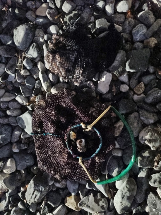 (사진제공=부산해양경찰서)