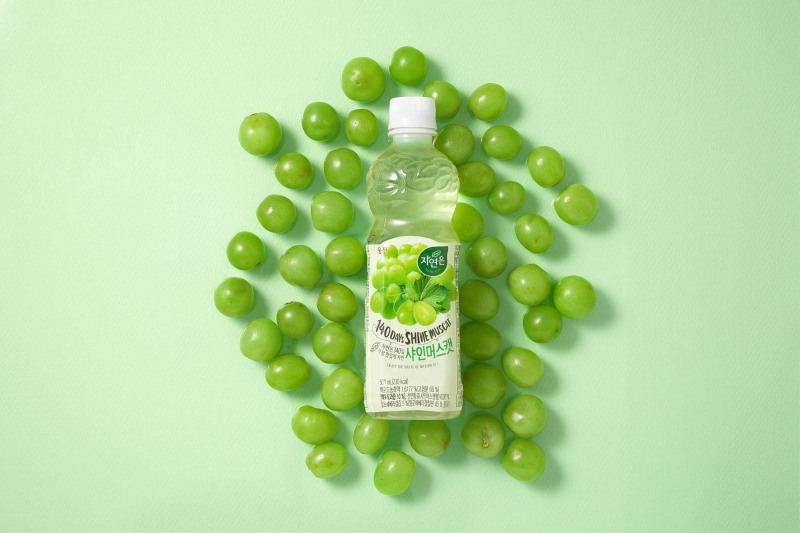 웅진식품, '자연은 샤인머스캣' 작년 3월 출시 이후 600만 병 판매