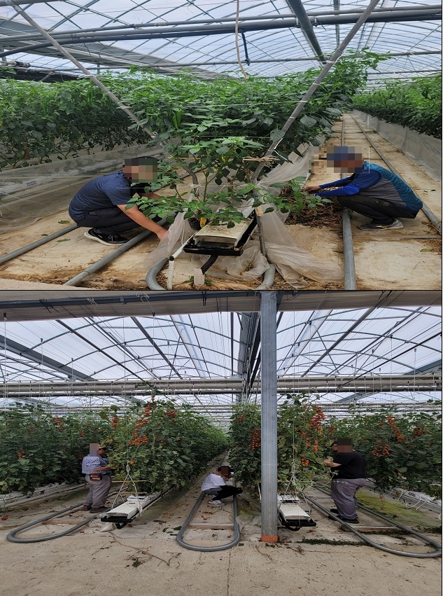 (사진제공=전주보호관찰소)