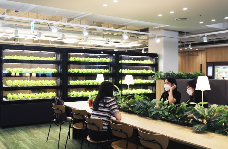 CJ프레시웨이, 스마트팜 활용 급식 메뉴 ‘초신선 샐러드’ 운영