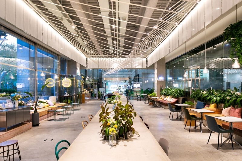 KGC인삼공사 사푼사푼, 썸머 칵테일 출시