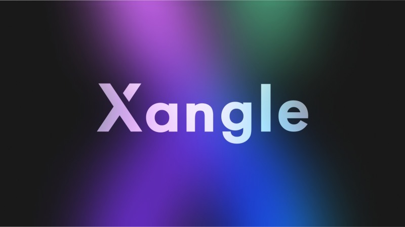 크로스앵글, 내부통제제도 도입