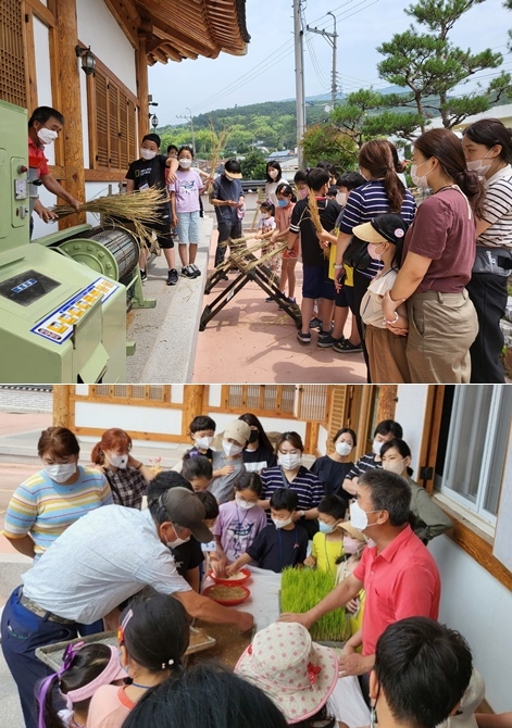 농촌체험관광지원센터 토요프로그램 참가자들이 농기구를 이용해 벼 탈곡 체험 등을 하고 있다.(사진제공=부산 기장군)