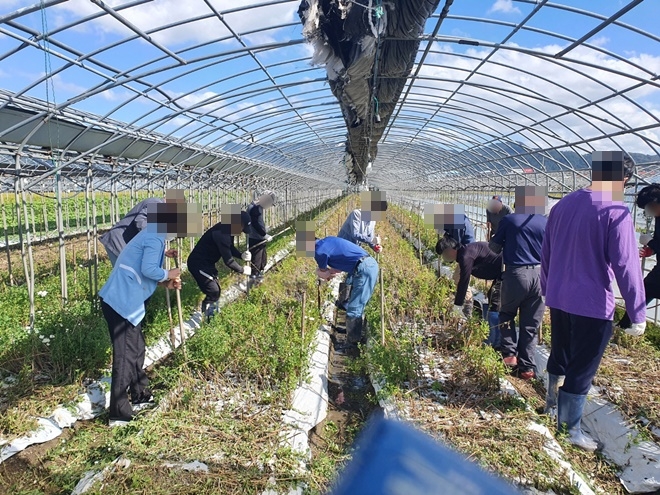 (사진제공=부산서부준법지원센터)