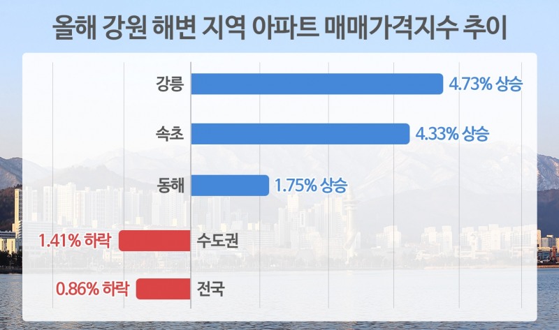 강원도 해변 아파트 ‘진흙 속 진주’…신규 분양도 잇따라