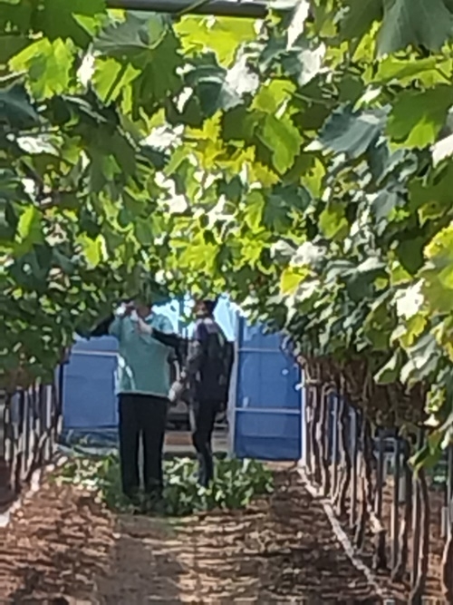 (사진제공=통영준법지원센터)