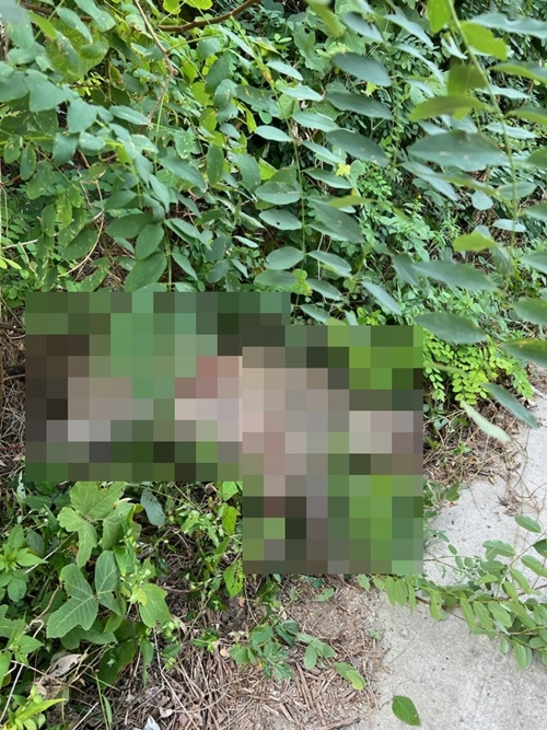 (사진제공=부산경찰청)