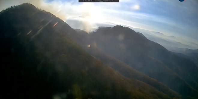 (사진제공=산림청)