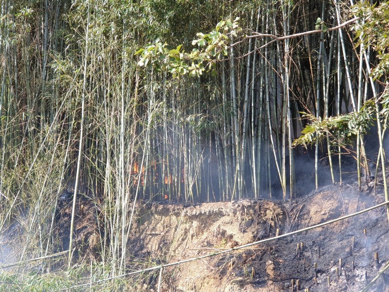 (사진제공=부산경찰청)