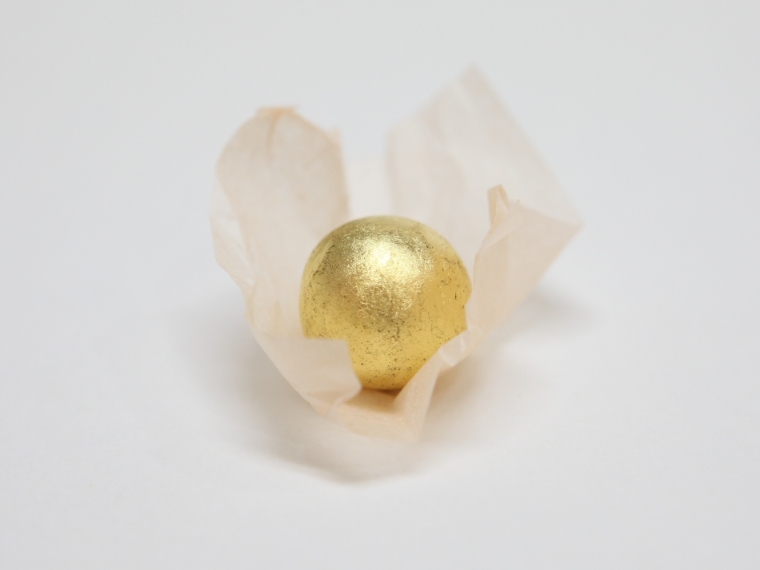 피로회복 및 뇌세포 재생 효과가 있는 '공진단'. 사진=자생한방병원