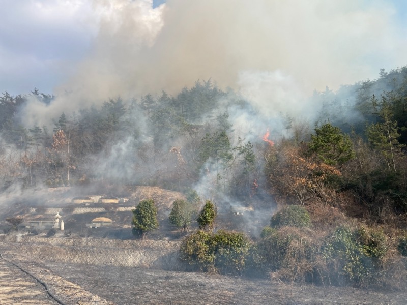 (사진제공=산림청)