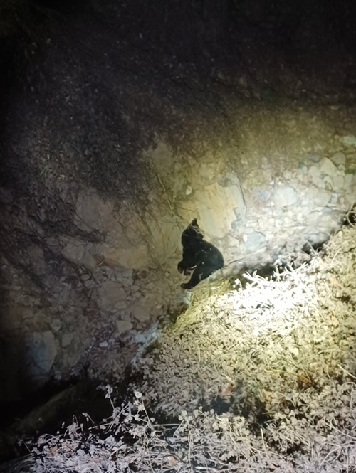 (사진제공=울산소방본부)