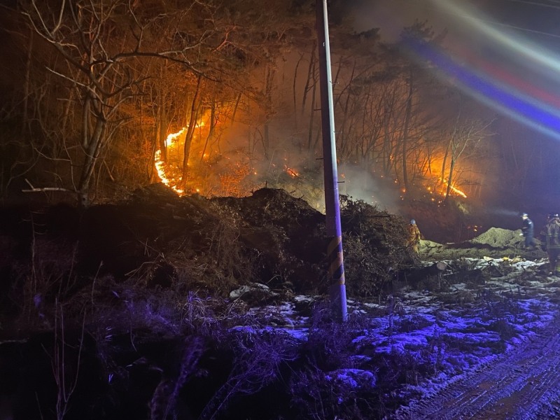 (사진제공=산림청)