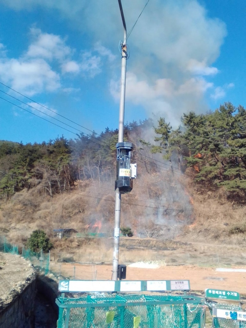 (사진제공=산림청)