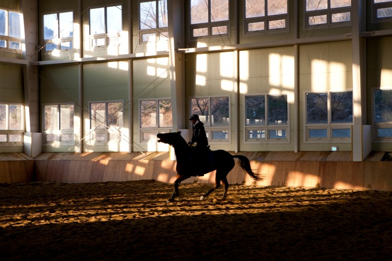 골든쌔들 승마클럽 전경. (사진=포도컴)