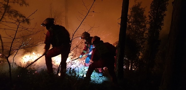 (사진제공=산림청)