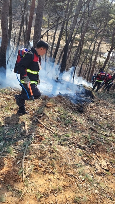 (사진제공=산림청)