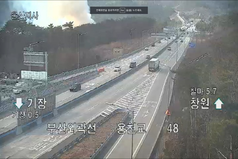 (제공=산림청)
