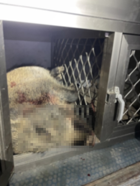 (사진제공=부산경찰청)