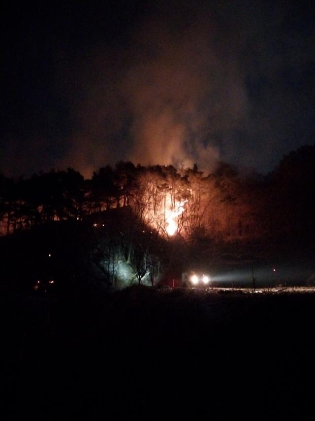 (사진제공=산림청)