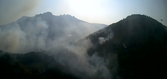 (사진제공=산림청)