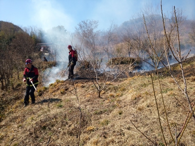 (사진제공=산림청)