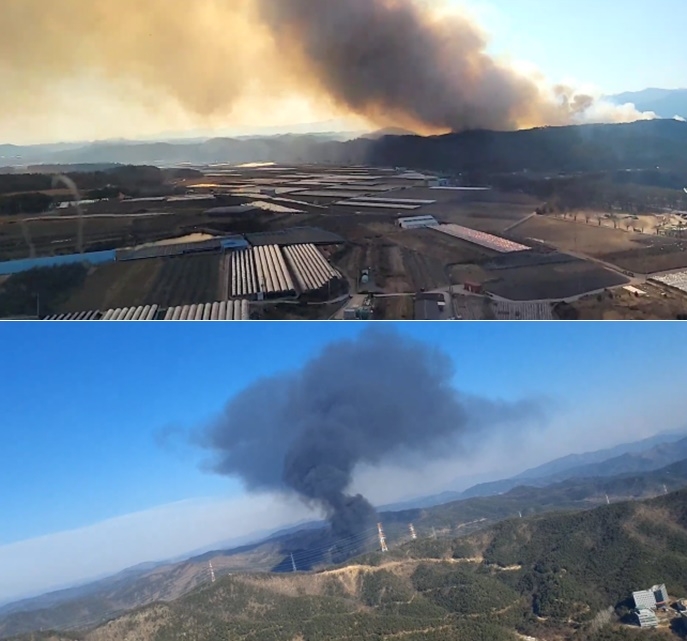 (사진제공=산림청)