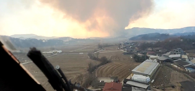 (사진제공=산림청)