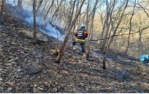 (제공=산림청)