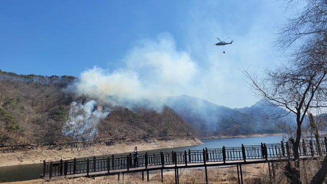 (사진제공=산림청)