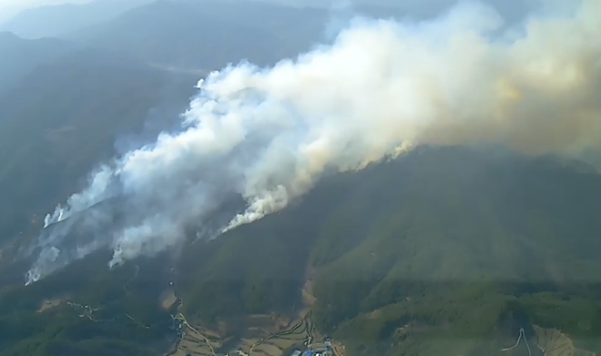 (사진제공=산림청)