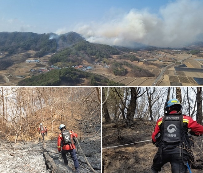 (사진제공=산림청)