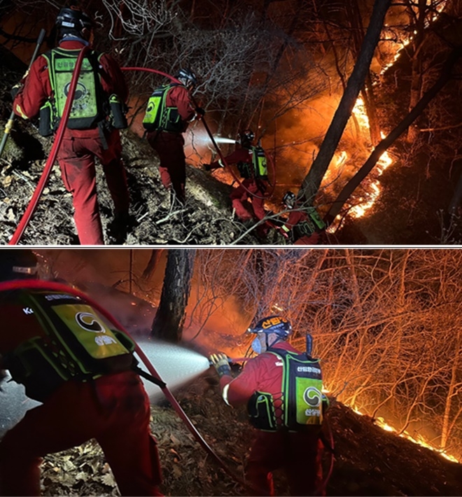 (사진제공=산림청)