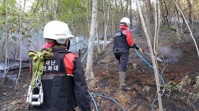 (사진제공=산림청)