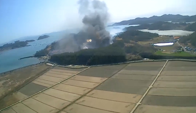 (사진제공=산림청)