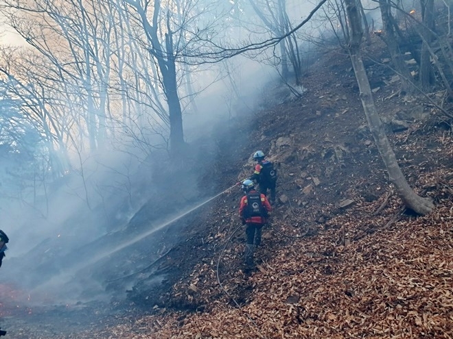 (사진제공=산림청)