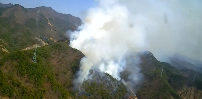 (사진제공=산림청)