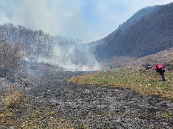 (사진제공=산림청)