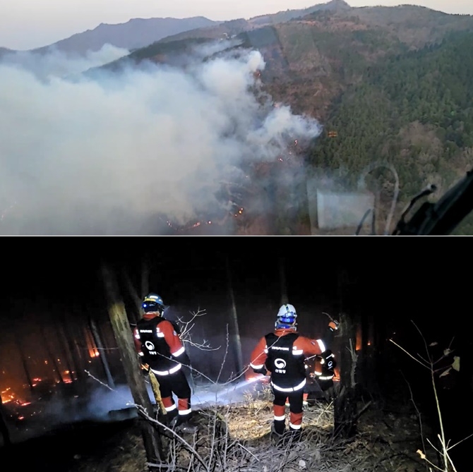 (사진제공=산림청)