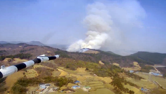 (사진제공=산림청)