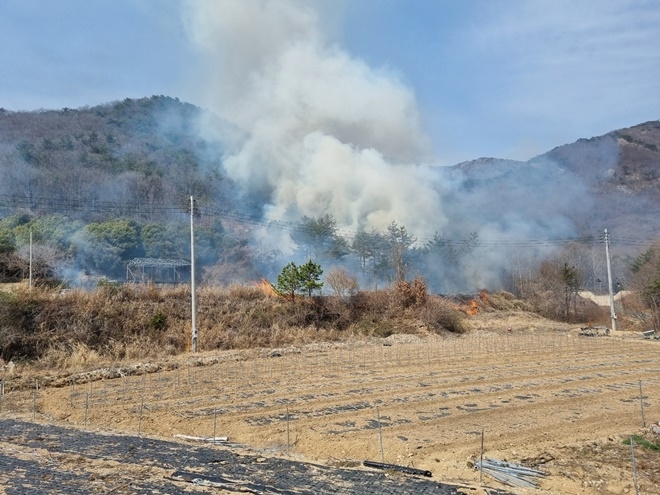 (사진제공=산림청)
