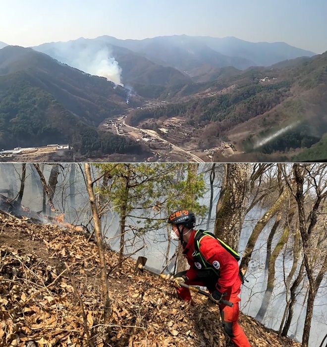 (사진제공=산림청)