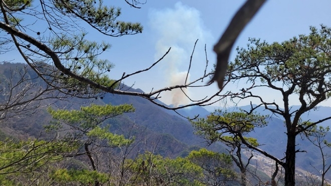 (사진제공=산림청)