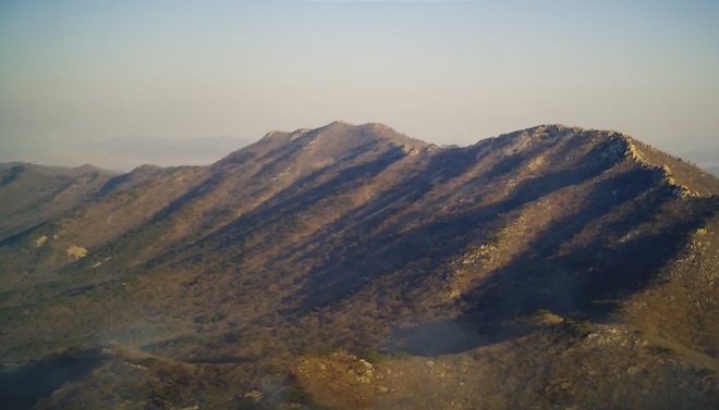 (사진제공=산림청)