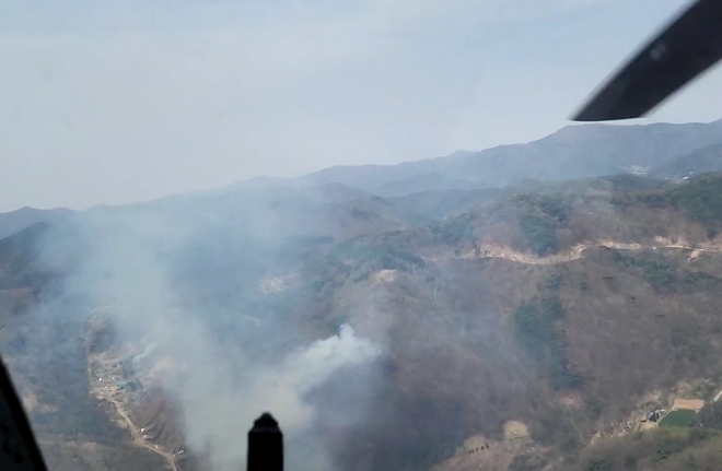 (사진제공=산림청)