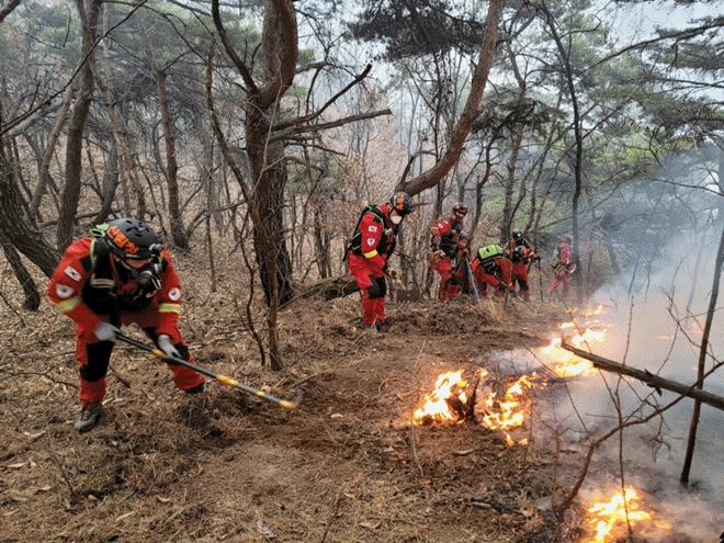 (사진제공=산림청)