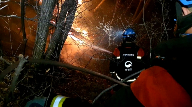 (사진제공=산림청)