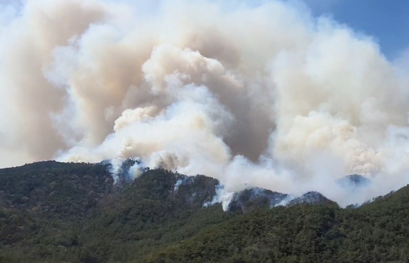 전남 함평 산불 모습.(제공=산림청)