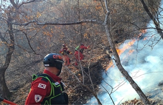(사진제공=산림청)