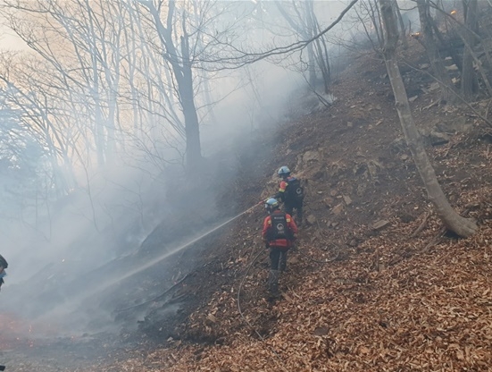 (사진제공=산림청)